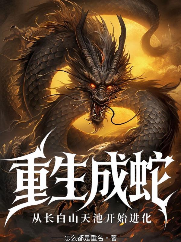 星霖倾玄封面