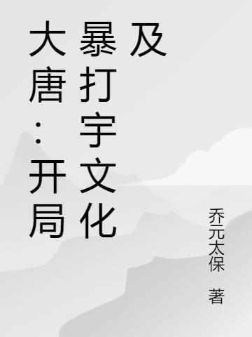 文臣猛将封面