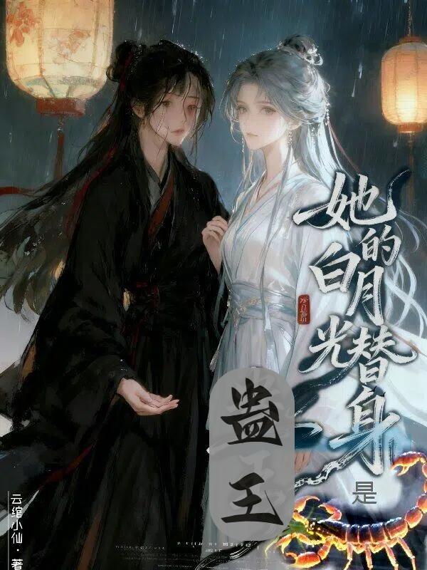 小皇叔封面