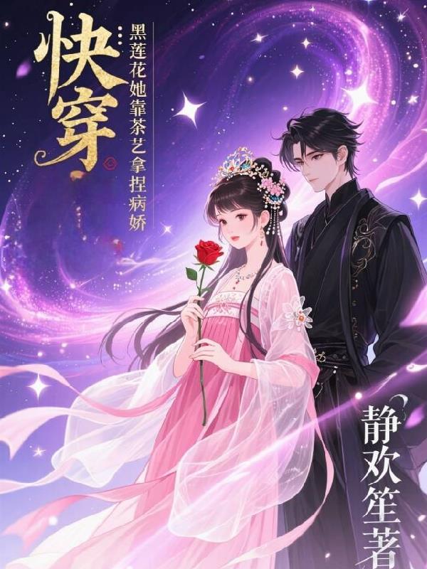 铁血南宋，疯批官家封面