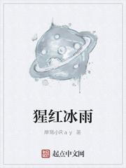 平城少将封面