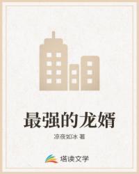 最后的阴阳师封面