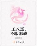 他的小狐狸封面
