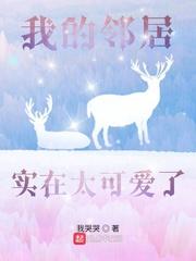 悬案迷踪封面
